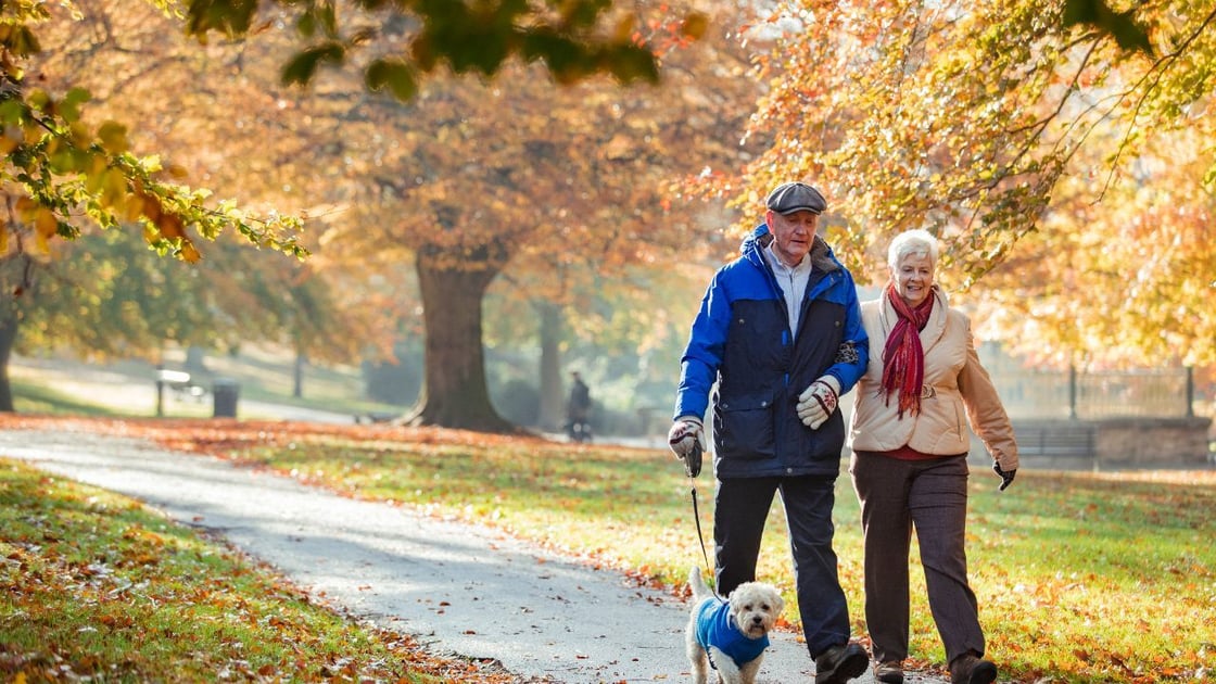 elderly couple walking their dog with fall landscape